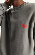 Charger l'image dans la galerie, American vintage Sweatshirt Plizzy Cendre Vintage