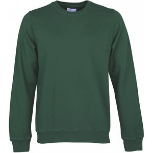 Colorful Standard Sweatshirt Emerald Green