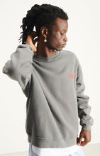 Charger l&#39;image dans la galerie, American vintage Sweatshirt Plizzy Cendre Vintage