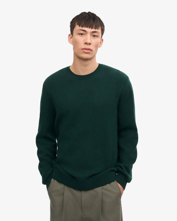 Colorful Standard Pull Classic merino Wool Crew Emerald green