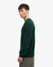 Charger l&#39;image dans la galerie, Colorful Standard Pull Classic merino Wool Crew Emerald green