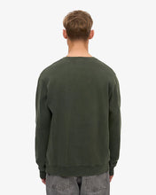 Charger l'image dans la galerie, Colorful Standard Sweatshirt Midnight Forest