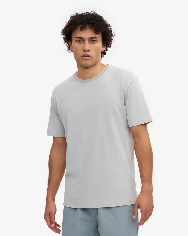Colorful Standard T-shirt Classic Faded grey