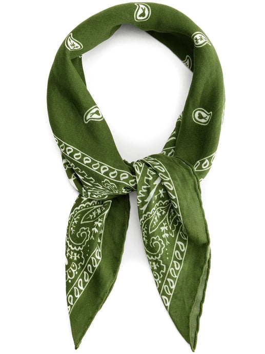 AMI Foulard Vert sapin